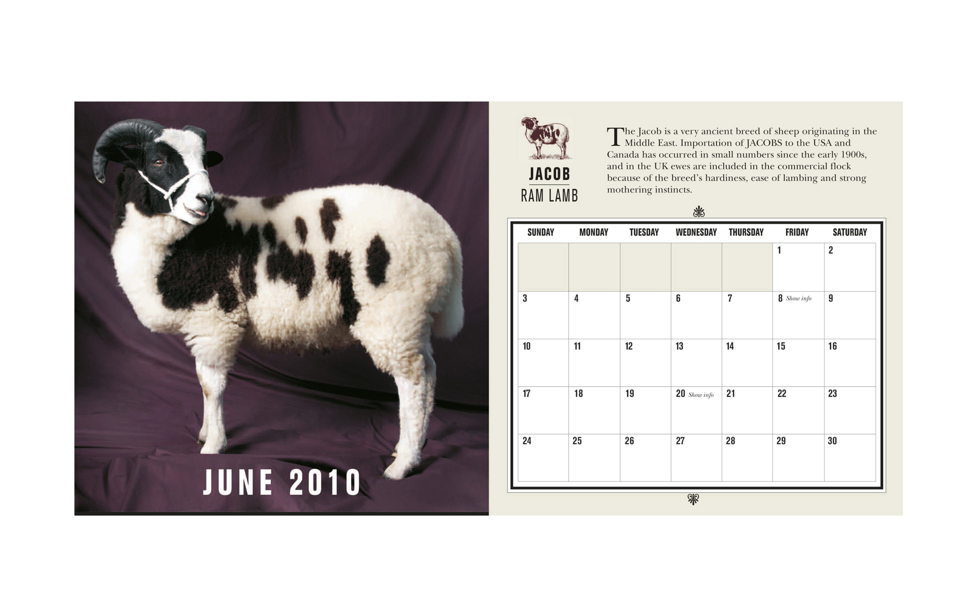 Beautiful Sheep Desk Calendar