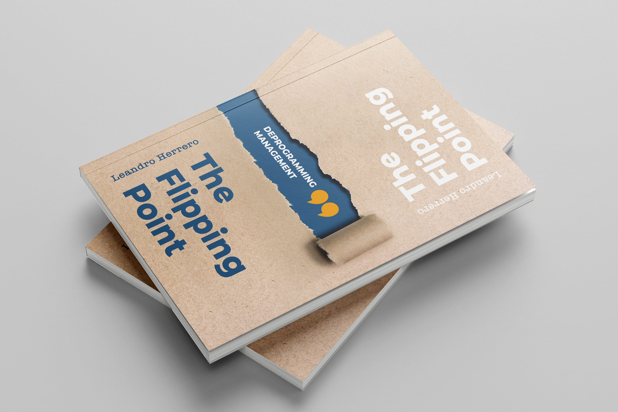 The Flipping Point Book