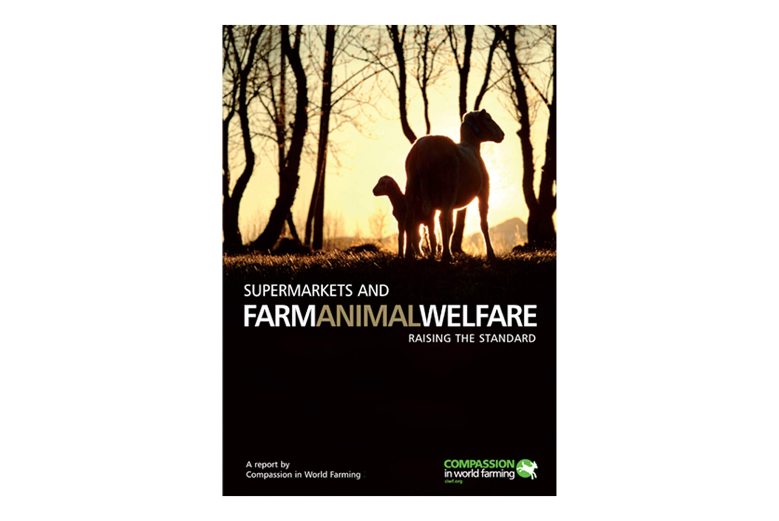 Compassion in World Farming Annual Report Design